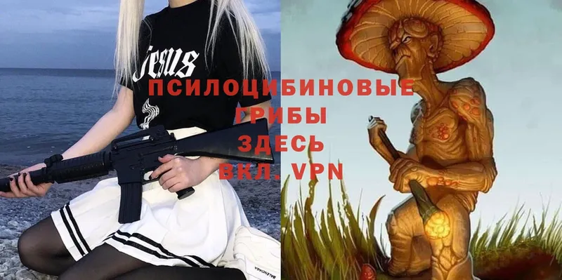 Псилоцибиновые грибы Psilocybine cubensis Белогорск